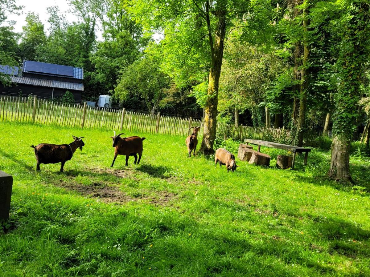 Pastorie Waaxens Bed and Breakfast Exteriör bild