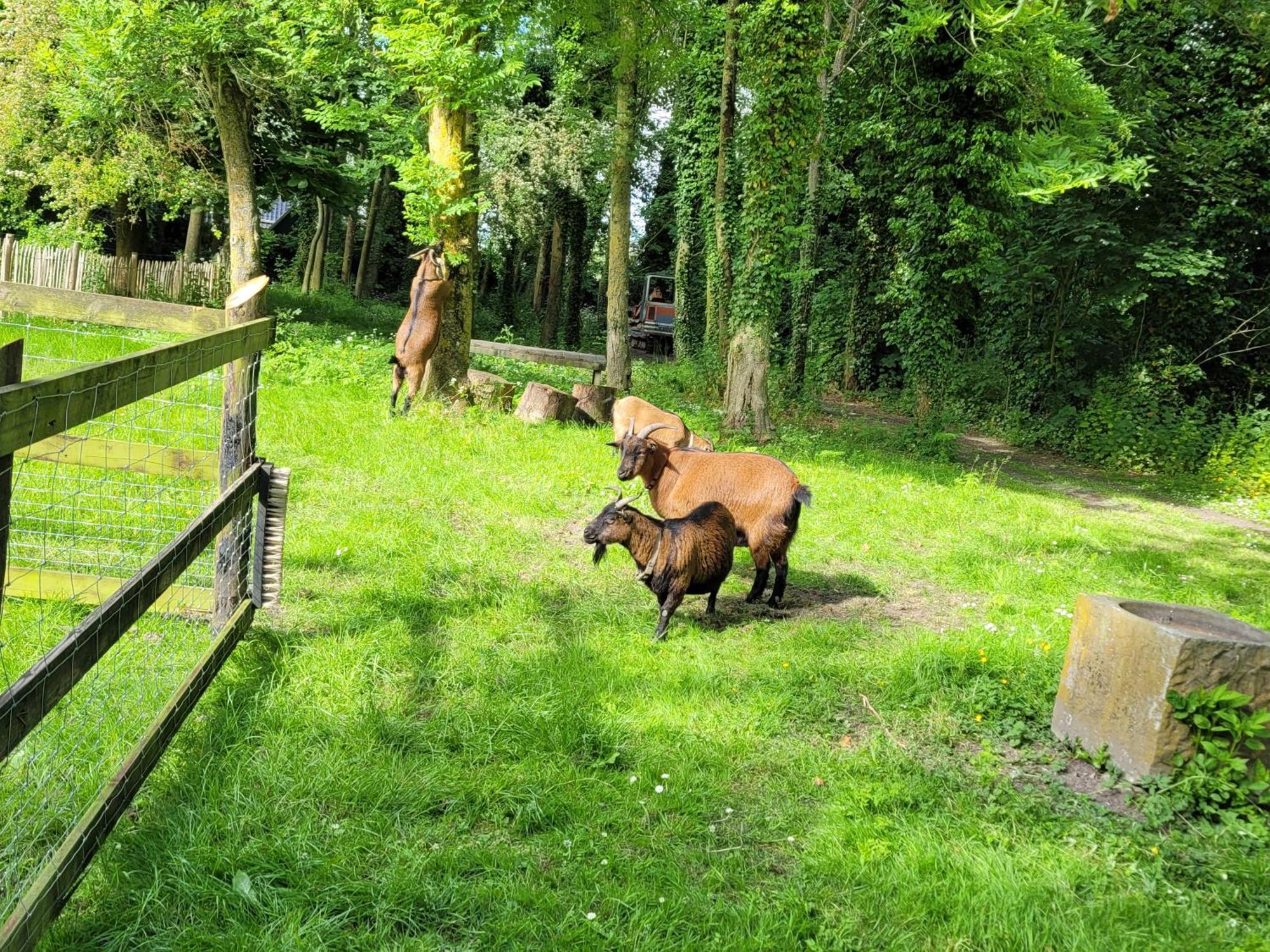 Pastorie Waaxens Bed and Breakfast Exteriör bild